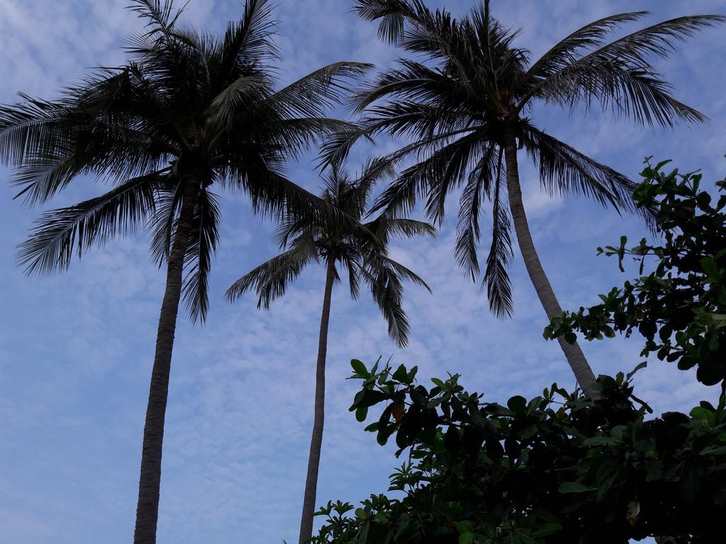 Bach Duong Hotel Phan Thiết Extérieur photo